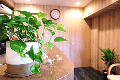 カルーセル画像